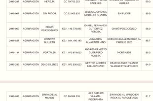 Resultado de bandas que fueron ganadoras del estimulo de Rock al Parque 2025
